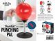 DESKTOP PUNCHING BAG