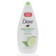 DOVE GO FRESH ANTIPERSPIRANT - CUCUMBER AND GREENTEA 250 ML.