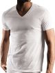 DKNY MENS SHORT SLEEVE TSHIRTS ASSORTED SIZE AND COLOR